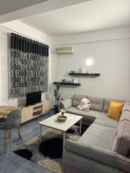 Apartment Near The Centre Of ティラナ エクステリア 写真